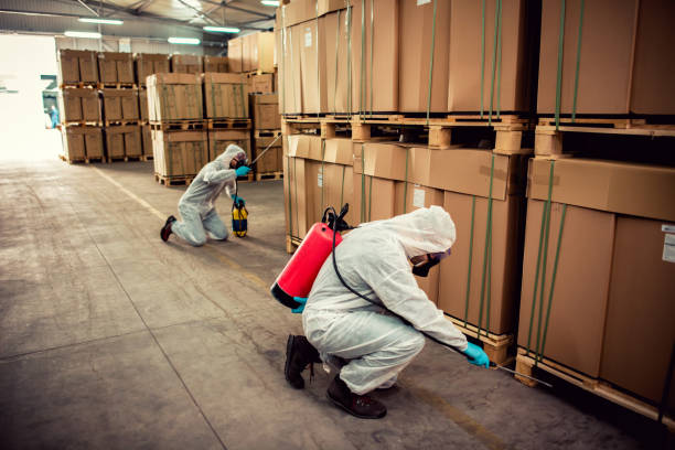Best Best Pest Control Companies  in West Liberty, WV