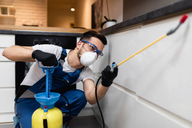 Best Affordable Pest Control Services  in West Liberty, WV