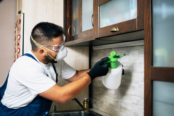 Best Wasp Removal Services  in West Liberty, WV