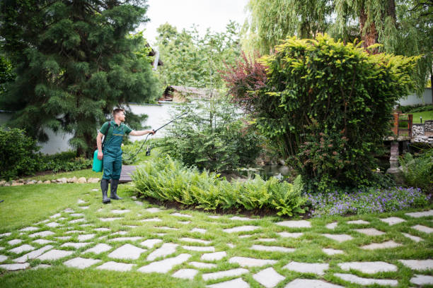 Best Local Pest Control Services  in West Liberty, WV