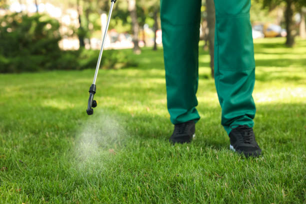 Trusted West Liberty, WV Pest Control Experts
