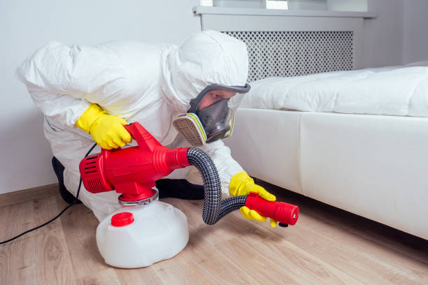 Best Pest Control Near Me  in West Liberty, WV