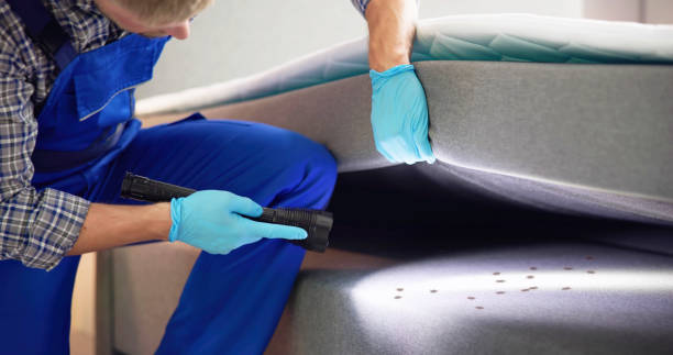 Best Flea Control Services  in West Liberty, WV