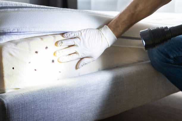 Best Pest Control Near Me in West Liberty, WV