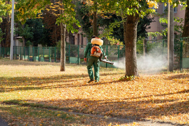Best Termite Control Services  in West Liberty, WV