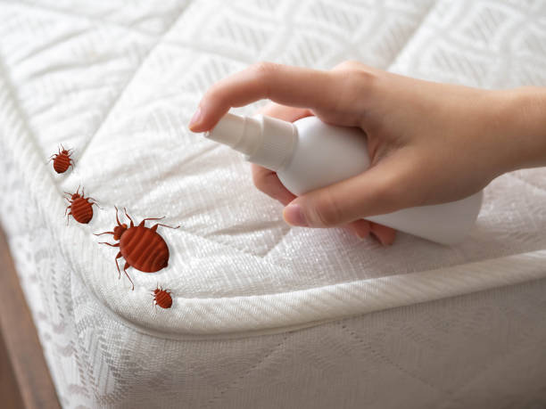 Best Affordable Pest Control Services  in West Liberty, WV