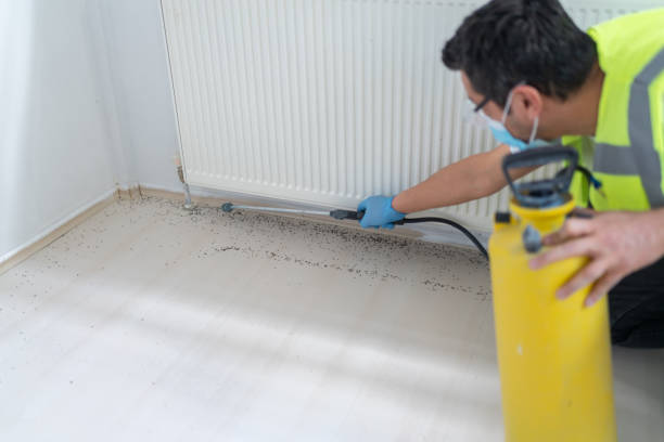 Best Pest Prevention Services  in West Liberty, WV
