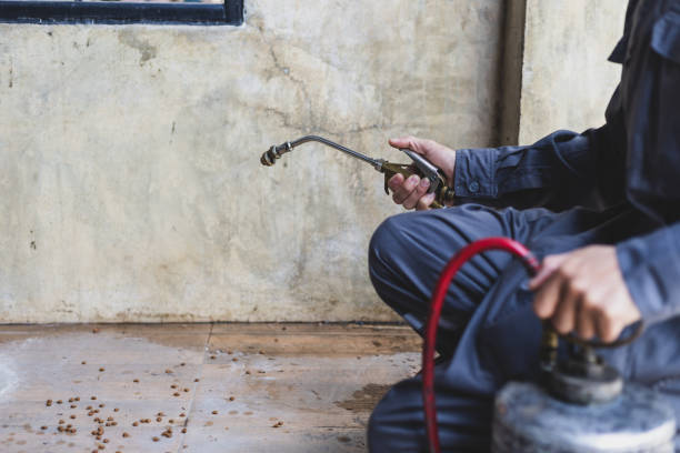 Pest Control Cost in West Liberty, WV