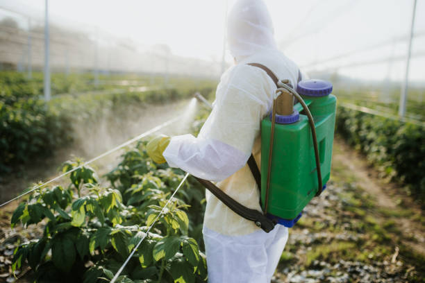 Best Residential Pest Control  in West Liberty, WV